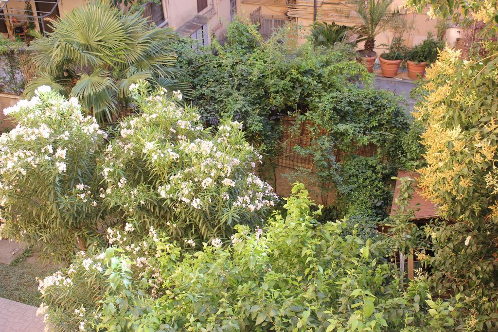 Casa Vacanze Voglia Di Roma Ngoại thất bức ảnh